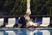 20120616_Matr_230.jpg