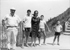 1964_002.jpg